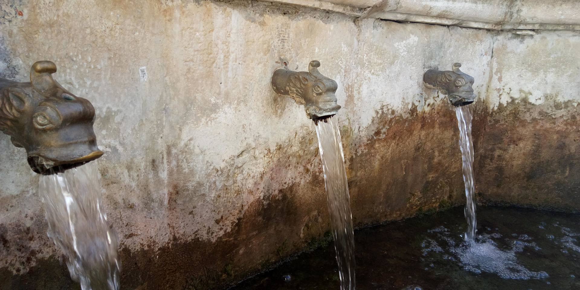 17859097_1385313688157387_1655938901_o