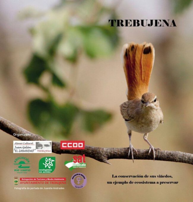 18987372_1441165919238830_768283764_o-768×805