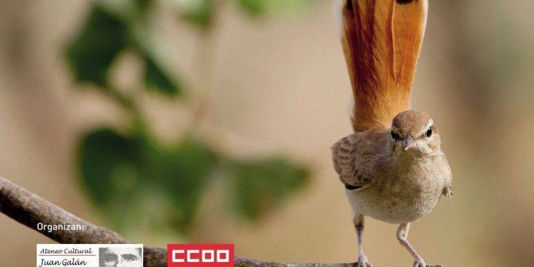 18987372_1441165919238830_768283764_o-768×805