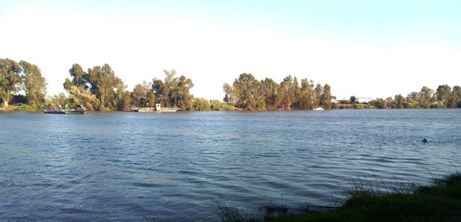 GUADALQUIVIR_CORIA_DEL_RIO