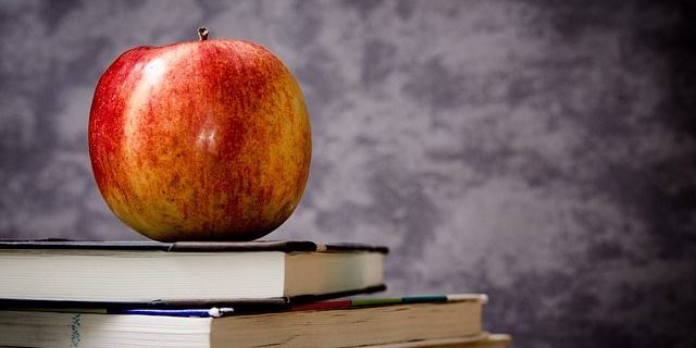 apple-256261_640