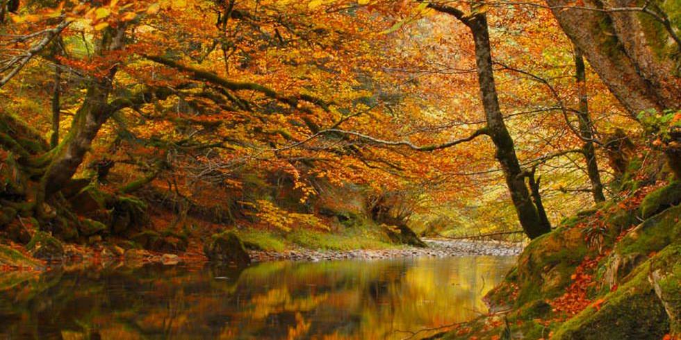 d954b7826e482d77a8a50f54d8e2fda0