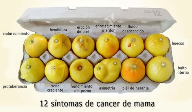 Conoce-tus-limones-y-detecta-el-cáncer-de-mam