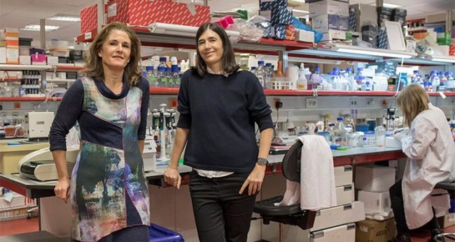 19e18c3c00b545c08bf7363fb4d26b96