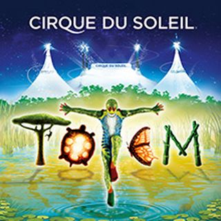 T—ECI-Revista-320×320-Ciudades—Final