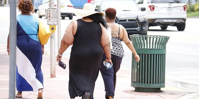 obesity-993126_640